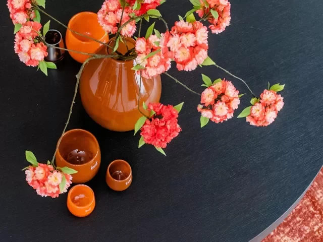 Peach Fuzz Peach Fuzz